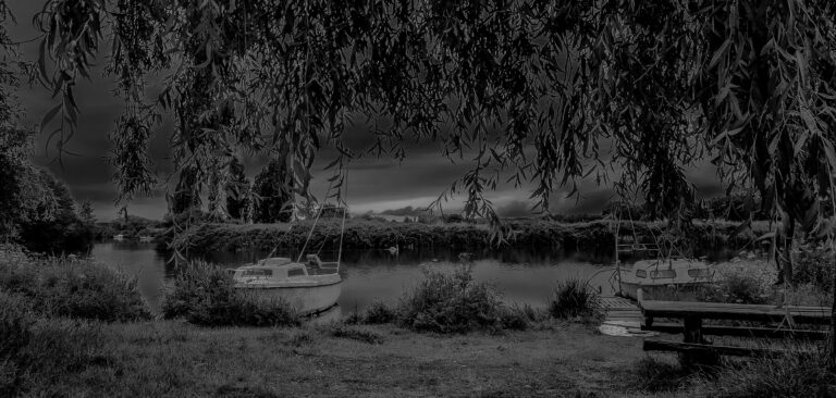Saint-Dolay embouchure du ruisseau du Roho dans la Vilaine