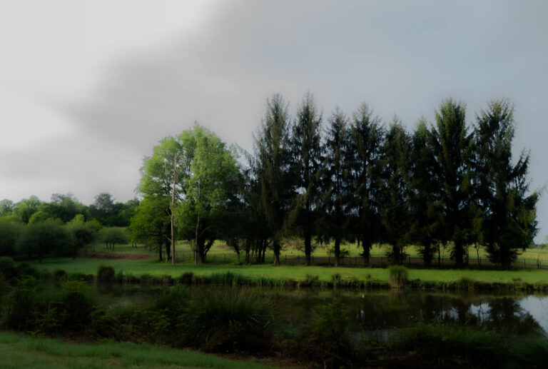 Saint-Dolay entre Cambony et Moulin Neuf