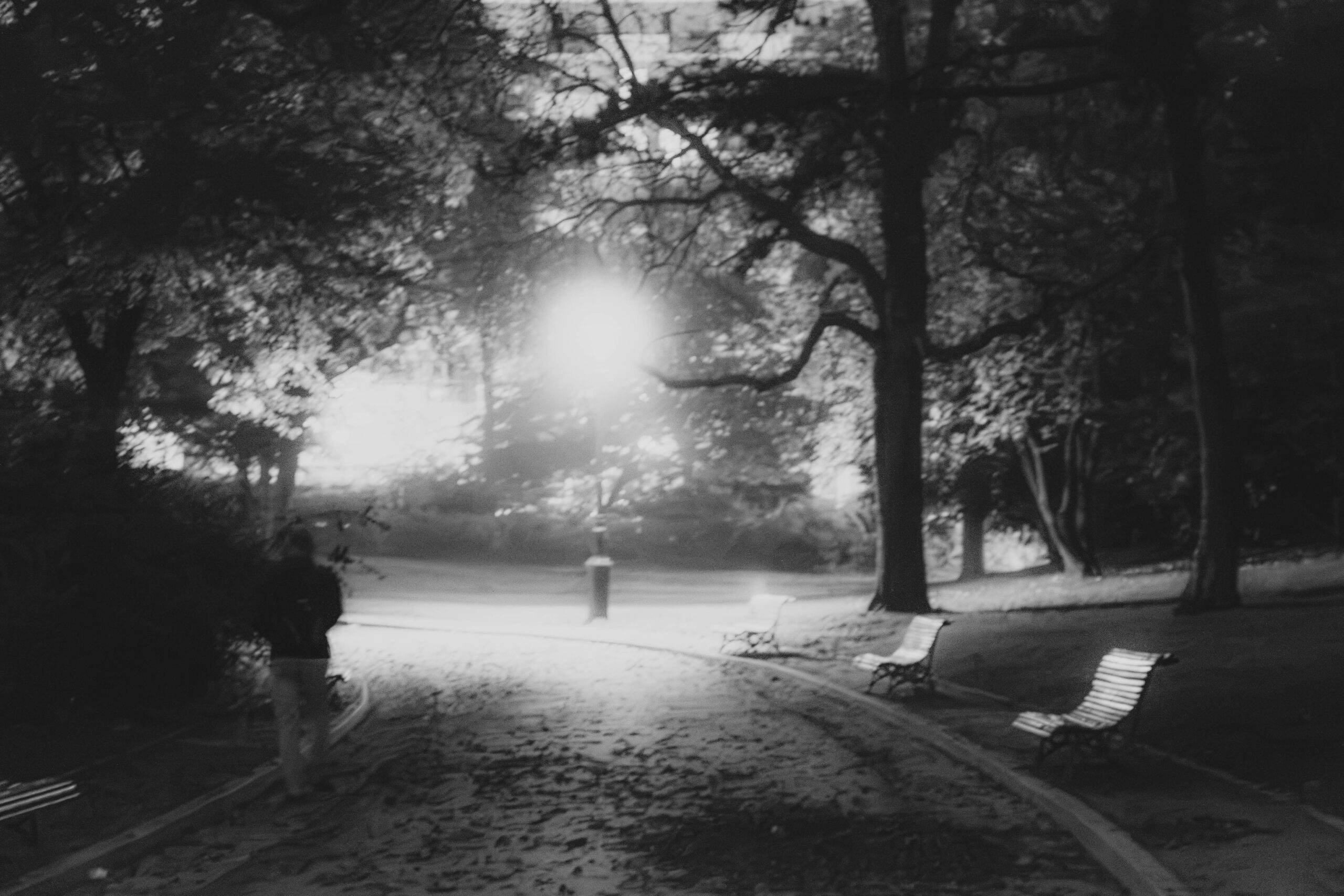 Paris, Le Parc Montsouris