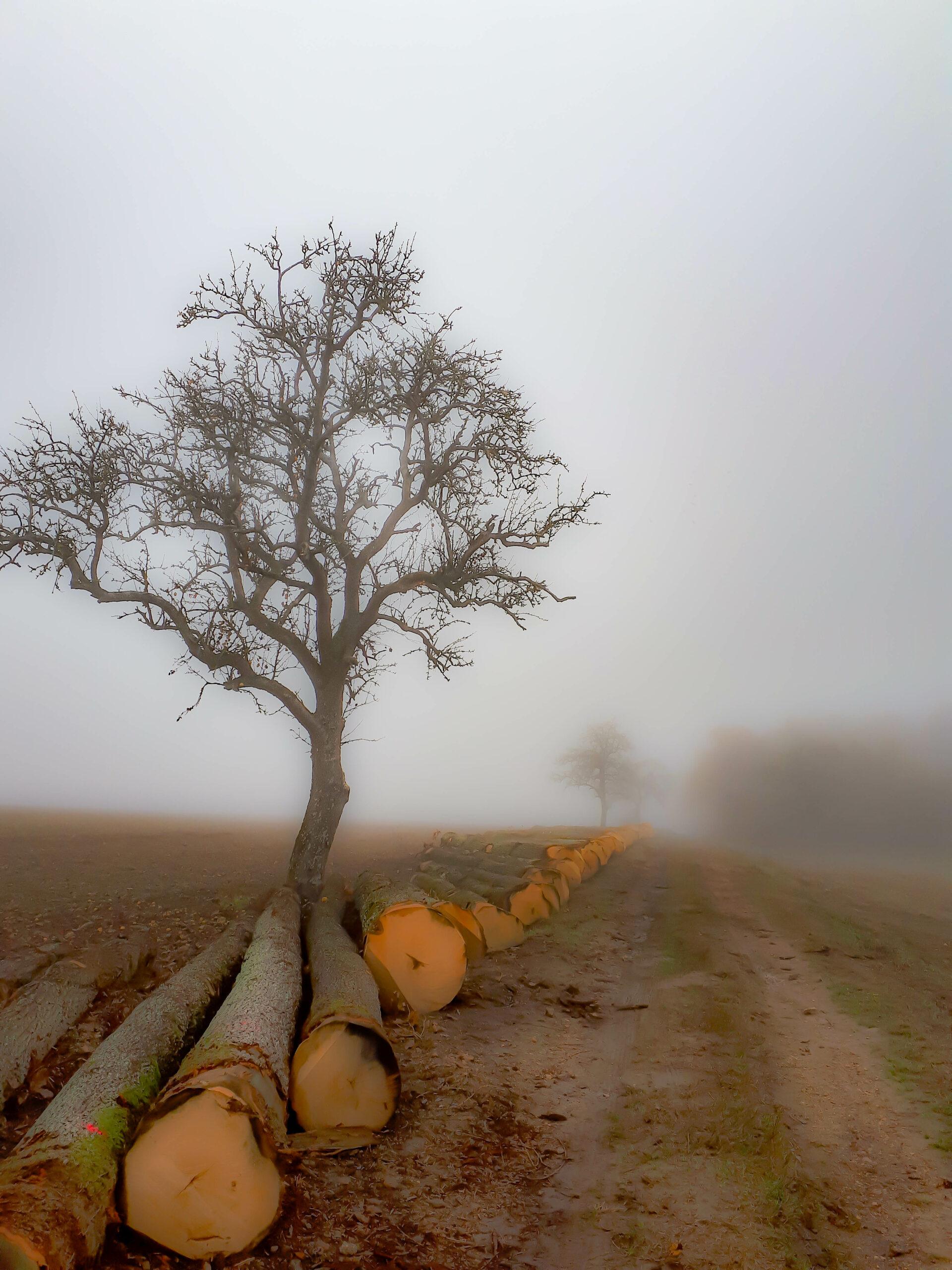 Roinville-sous-Dourdan
