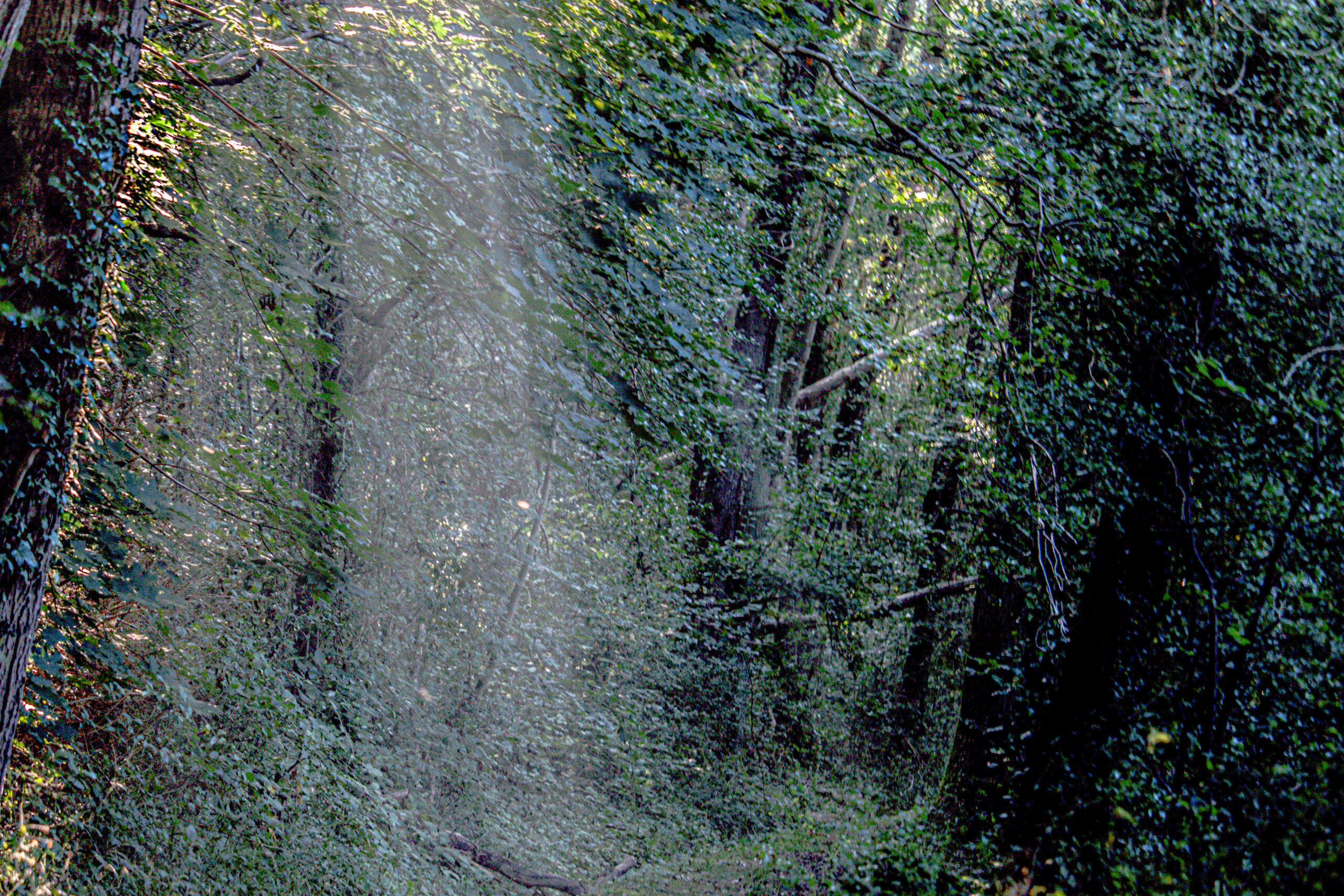 Roinville-sous-Dourdan