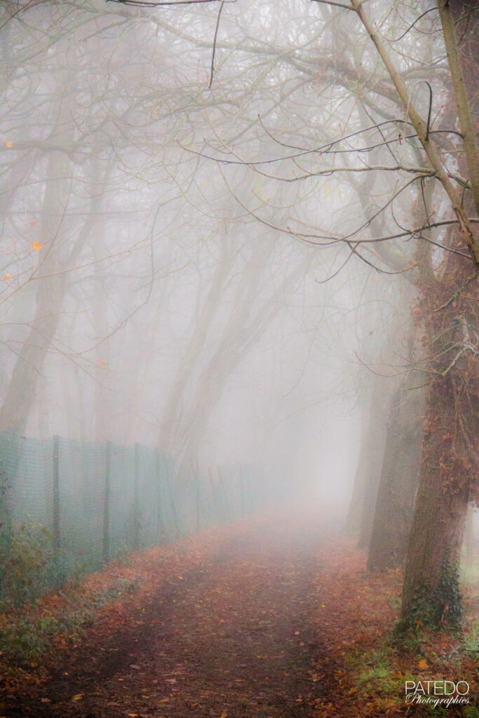 Hiver 2015