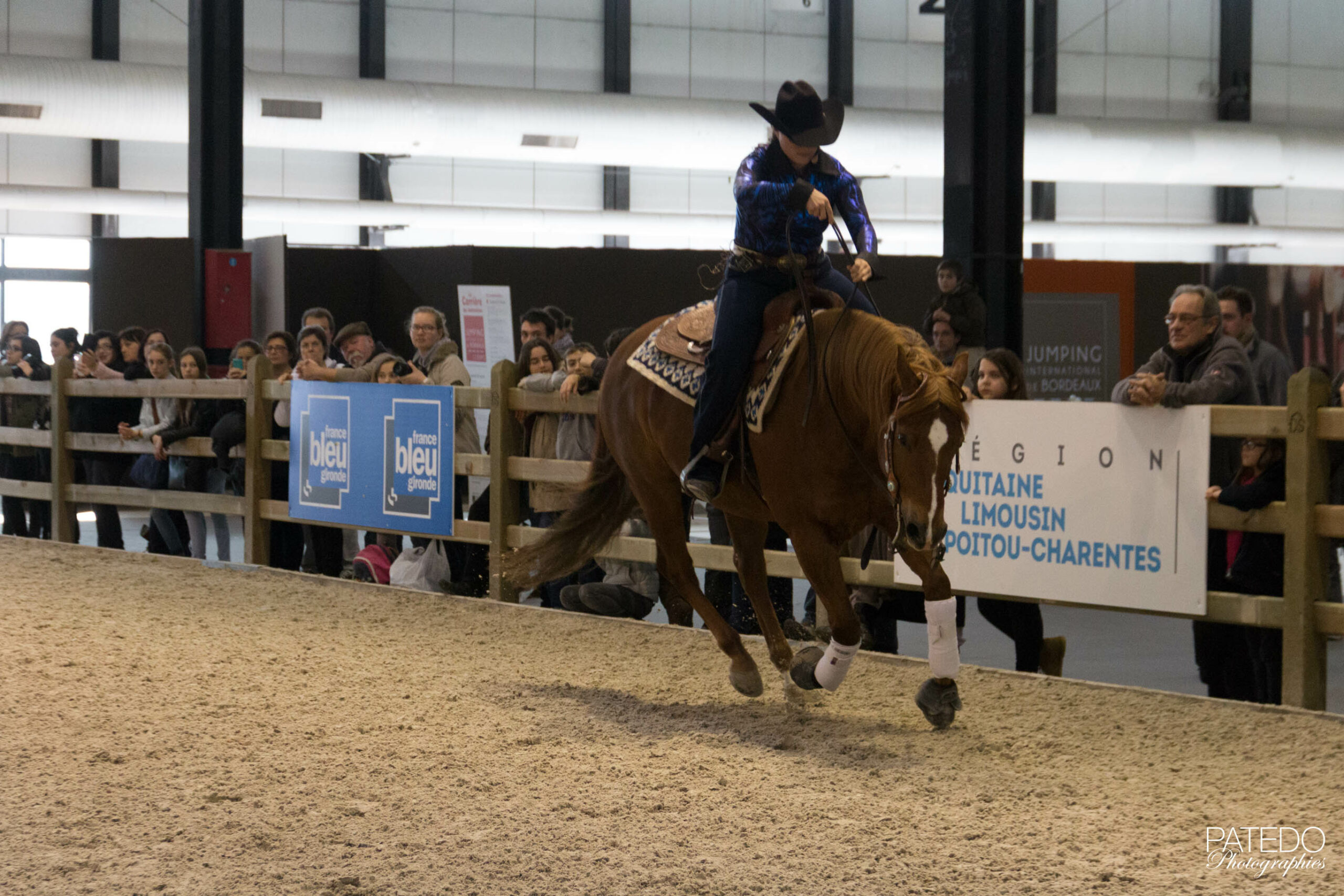 Salon du cheval B