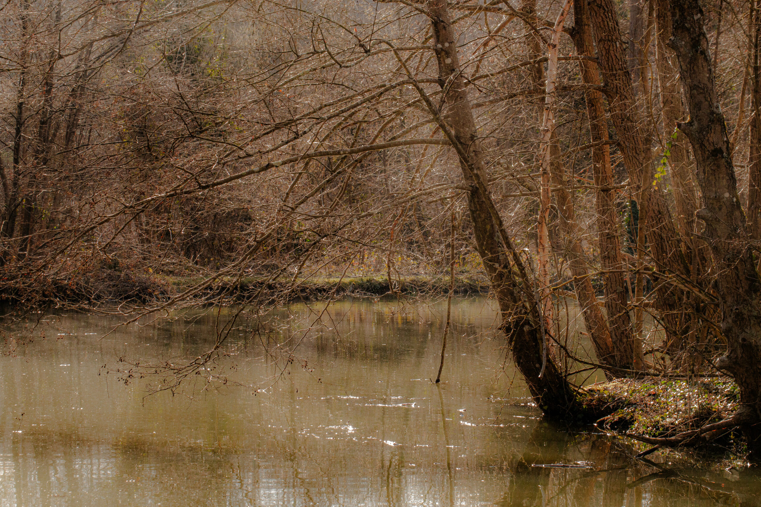 Dourdan