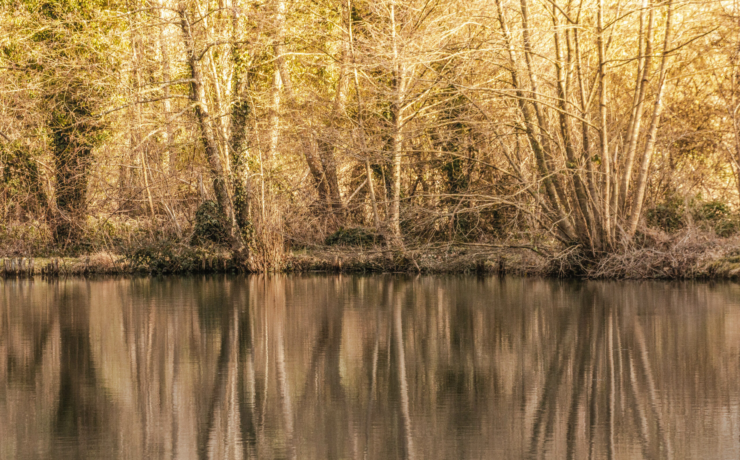 Dourdan