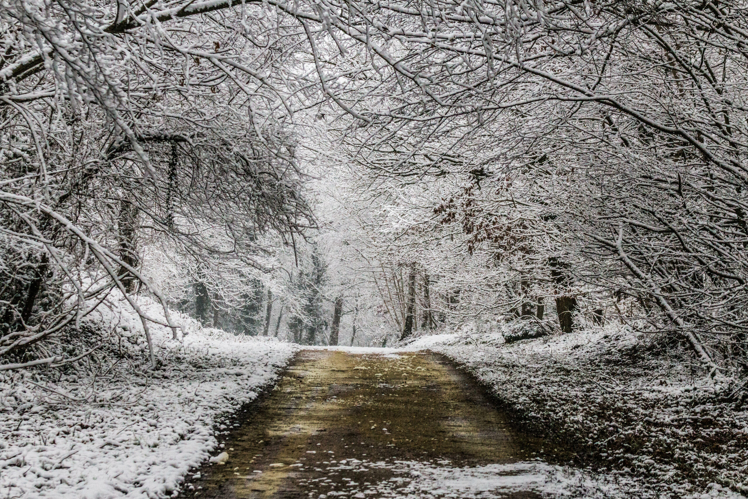 Dourdan l'hiver