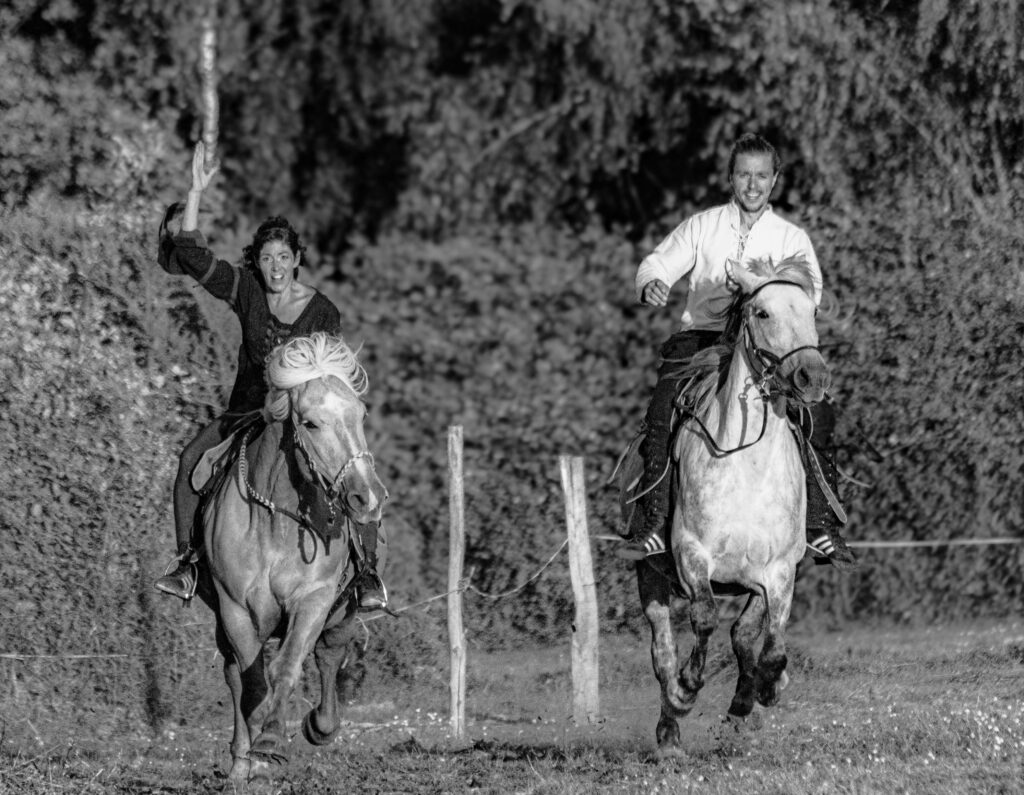 Terre de cheval
