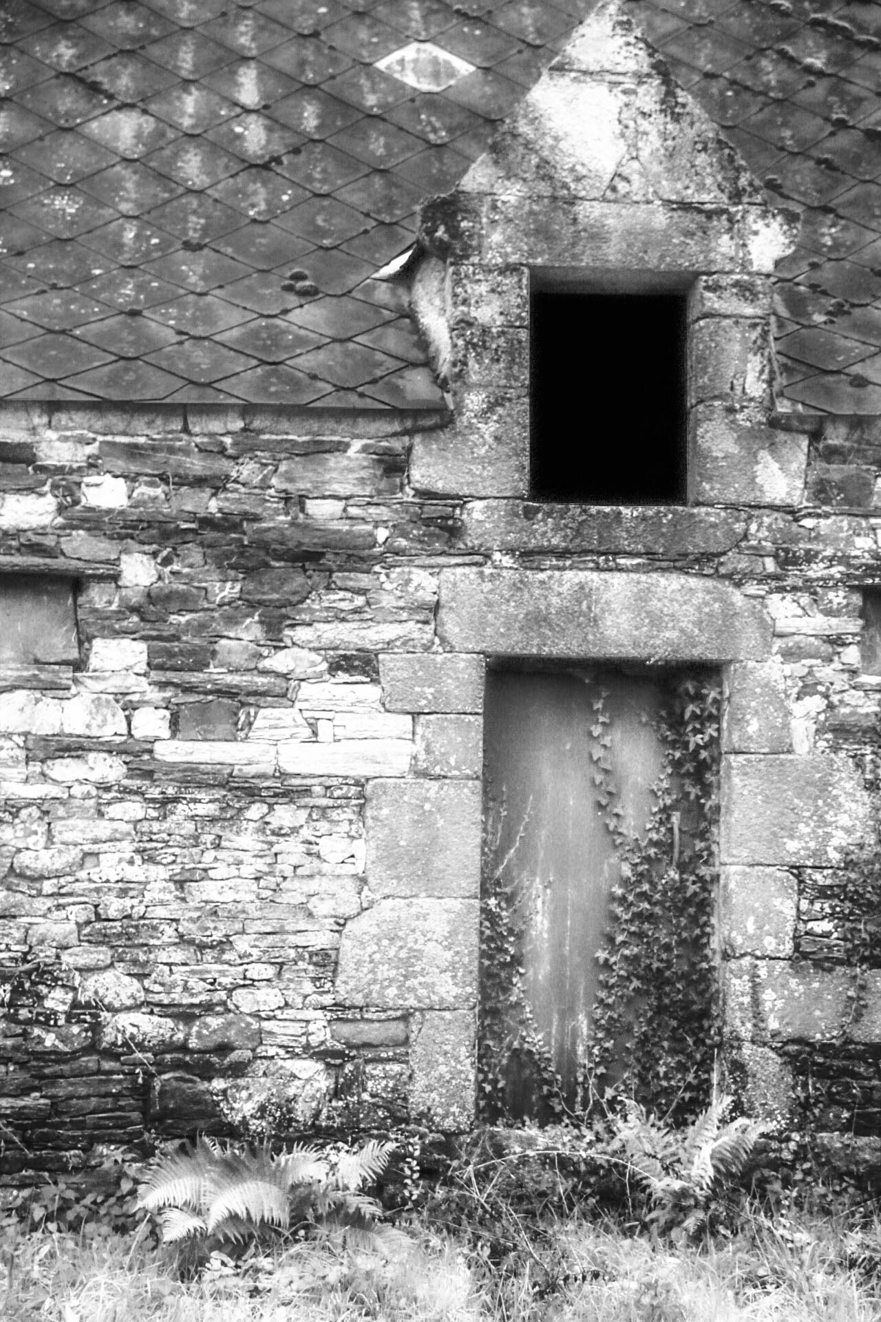 Ruine