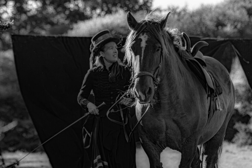 Terre de cheval
