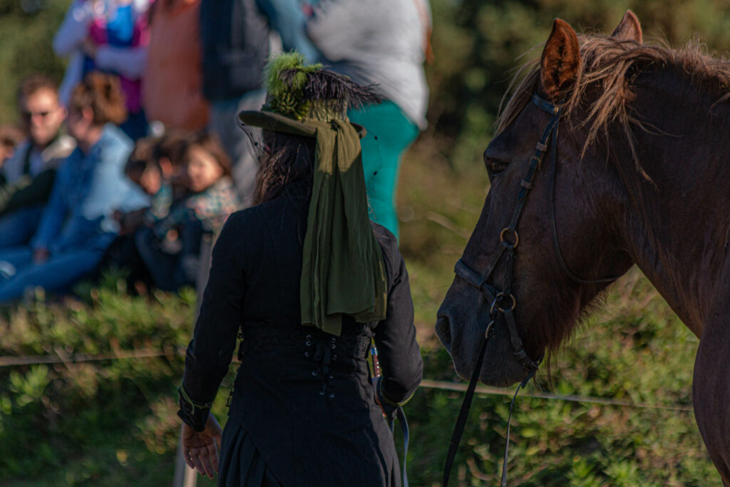 Terre de cheval