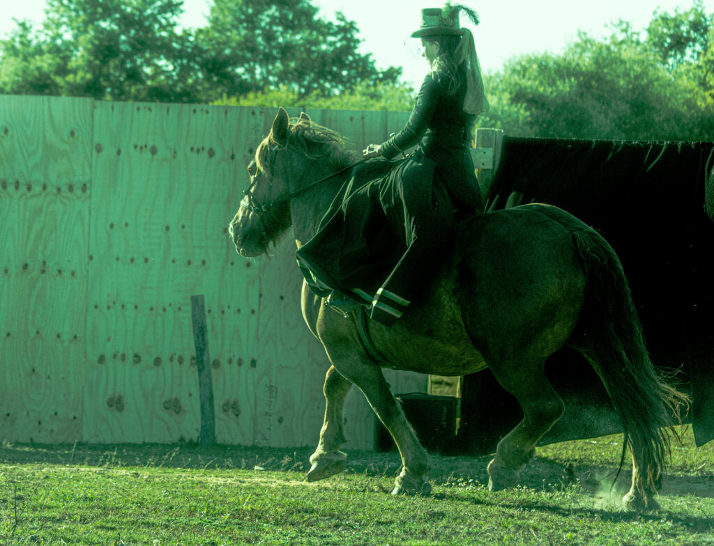 Terre de cheval