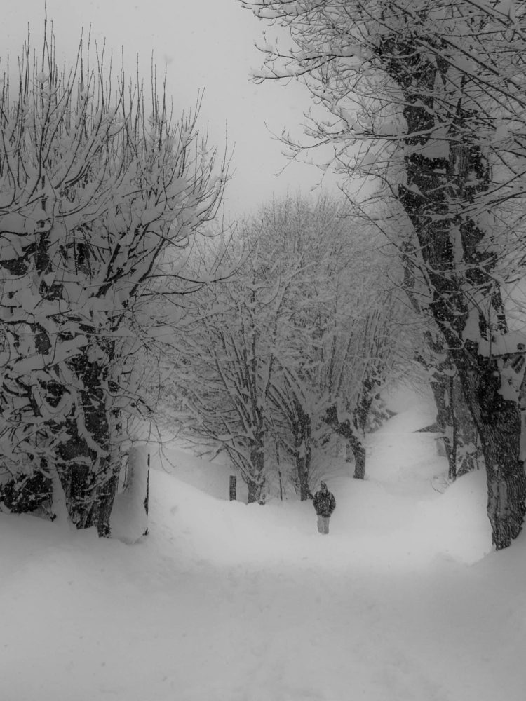 Saint-Sorlin-d'Arves